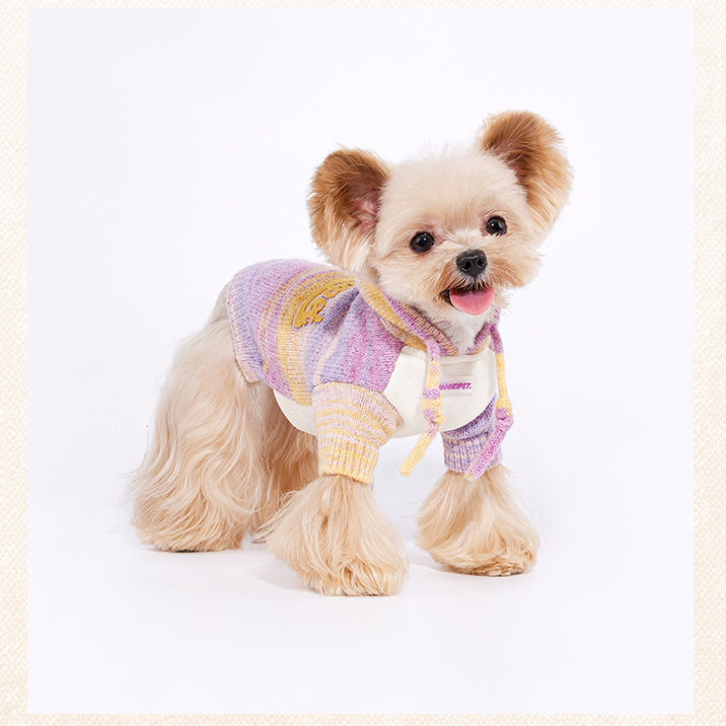MookiPet® Striped Gradient Hoodie for Dogs – Yellow Purple