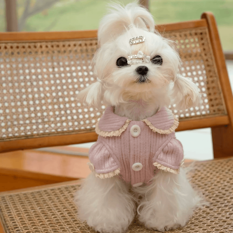 BOWWW® Pet Home Sweater Jacket - KIKOPALS