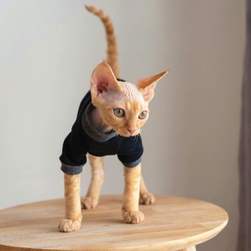 GINGERAIN® Cotton Cat Sweater - KIKOPALS