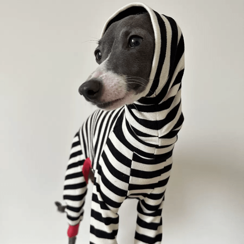 A HUNTING DOG® Striped Dog Jumpsuit - KIKOPALS