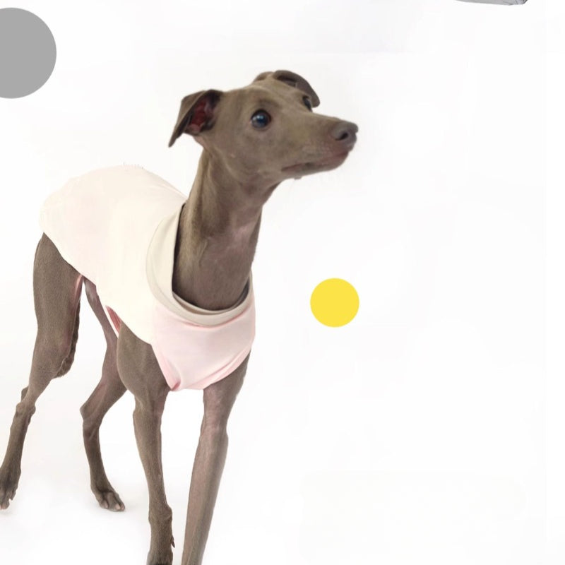 Nuoz® U Series Dog Cooling Vest – High Elasticity