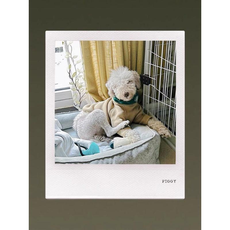 GASU® Woolen Pet Snood - KIKOPALS