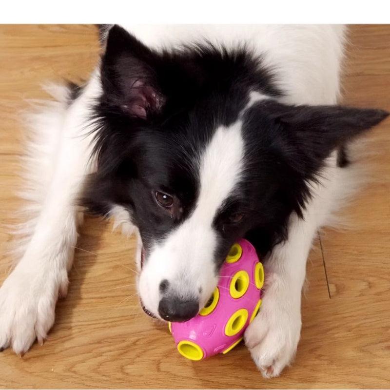 MoovaLab® Double-Layered Rubber Interactive Dog Toy - KIKOPALS