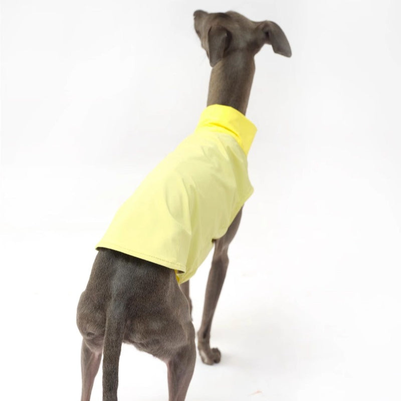 Nuoz® Pet Cooling Base Layer with Color Block Design for Dogs
