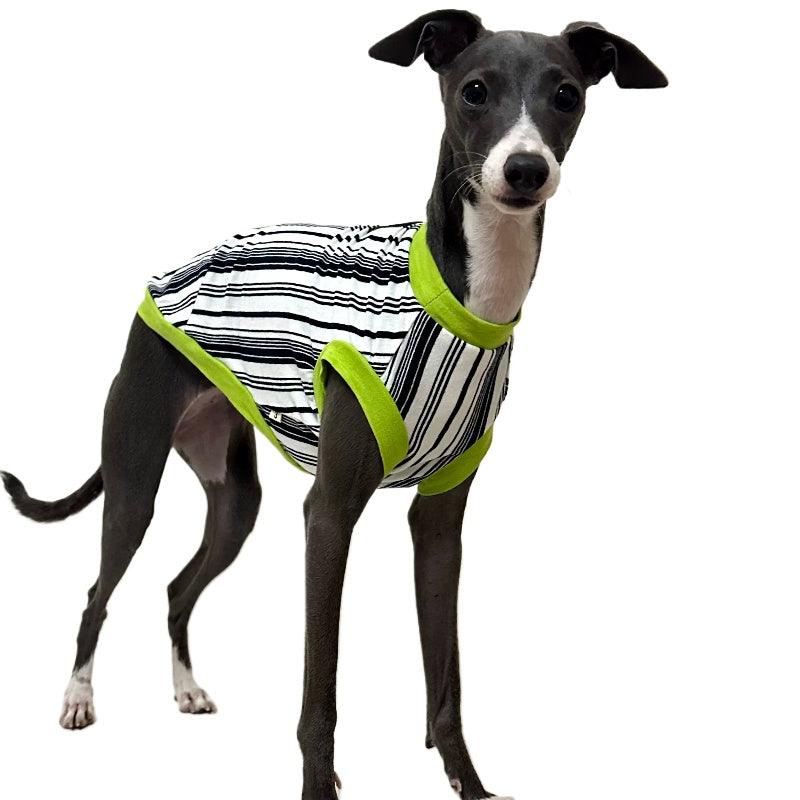 A HUNTING DOG® Dog Striped Vest - KIKOPALS