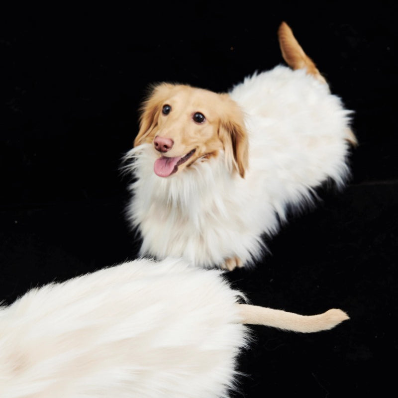 FuzFuz® Eco-Friendly Fur Cloak for Dogs