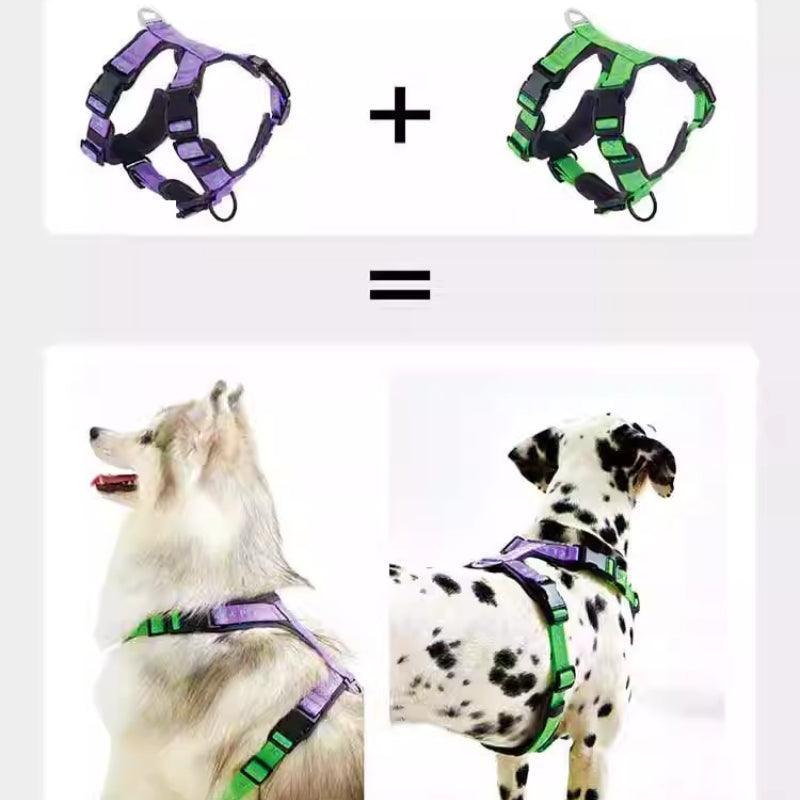 BXXM!PET® Pet Harness - KIKOPALS