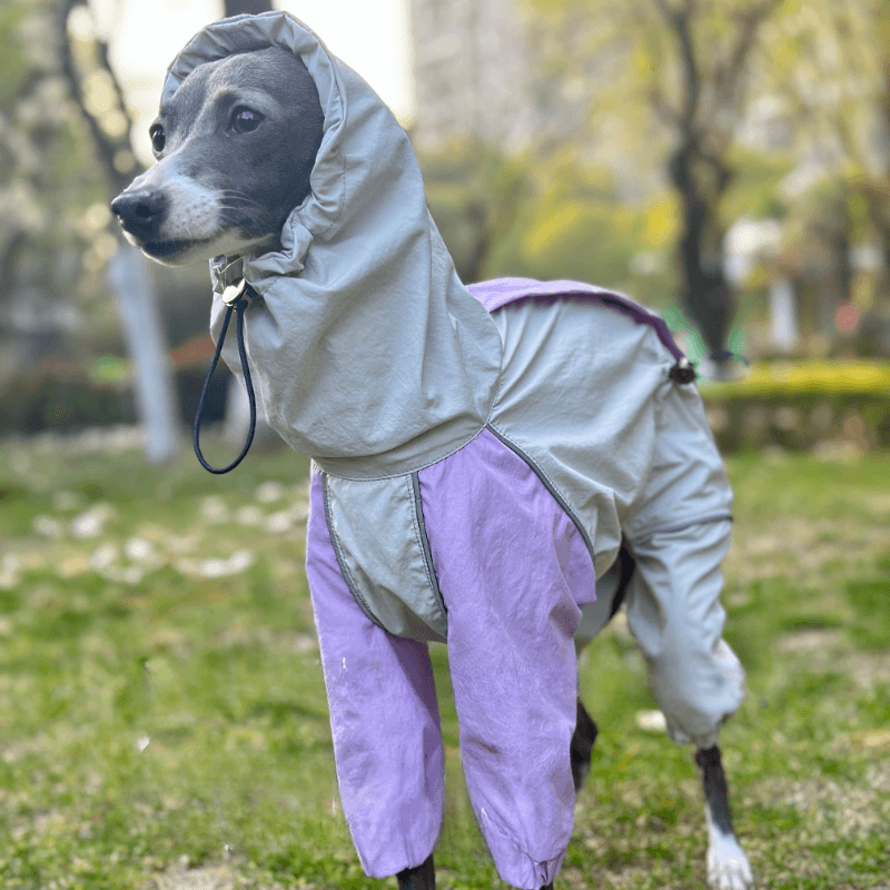 A HUNTING DOG® Dog Color-blocked Waterproof Jacket - KIKOPALS