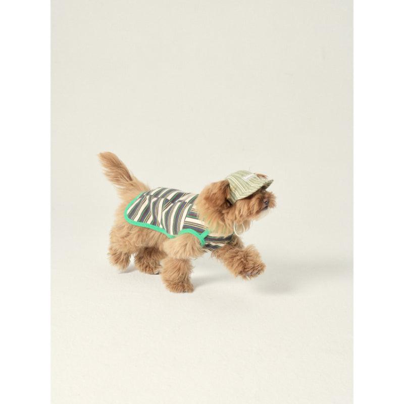 LazyEazy® Striped Pet Hat - KIKOPALS