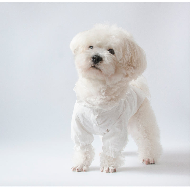 MARSHMALLOW® Vintage Ruffled Collar Shirt Dress for Dogs