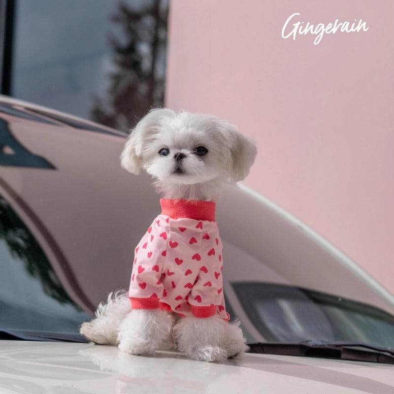 GINGERAIN® Lightweight Cotton Raglan Pet Sweatshirt - KIKOPALS