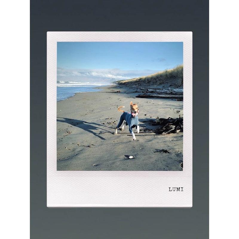 GASU® Anti-Static Cotton Stretch Whippet Shirt - KIKOPALS