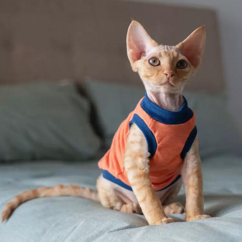 GINGERAIN® Blue & Orange Striped Cat Vest - KIKOPALS