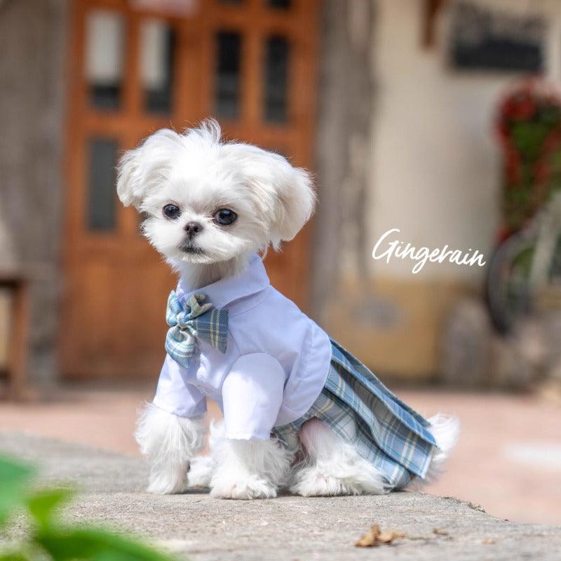 GINGERAIN® Blue JK Pet Dress - KIKOPALS