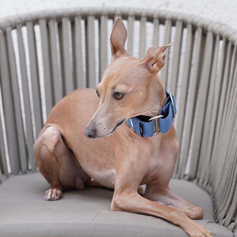 Hound Co.® Anti-Escape Dog Collar - KIKOPALS