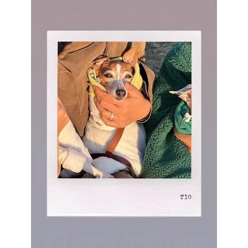 GASU® Woolen Pet Snood - KIKOPALS