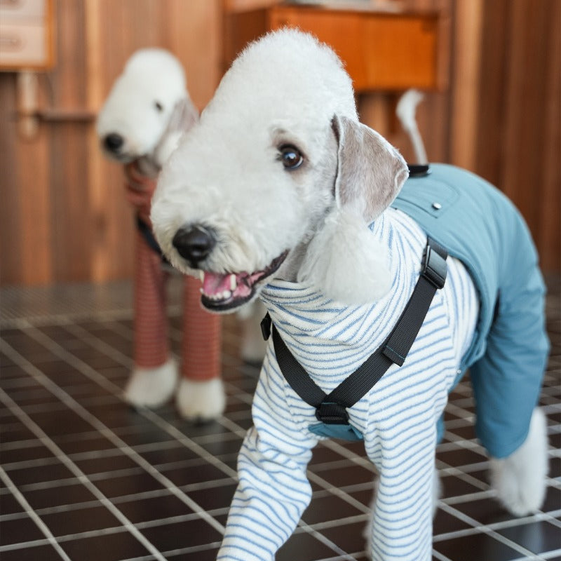 egge® Warm Workwear Overalls for Dogs