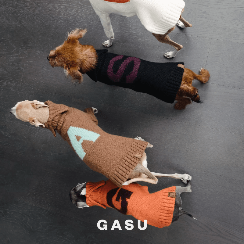 GASU® Chunky Wool Dog Two-Legged Sweater - KIKOPALS