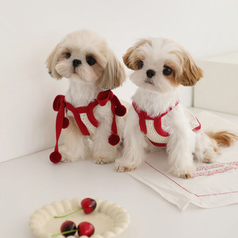 MooliBang® Openwork Vest for Small Dogs