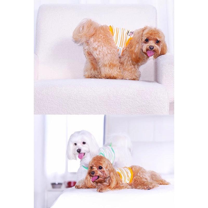 Pawfect Co® Stripe Embroidered Pet Sling - KIKOPALS