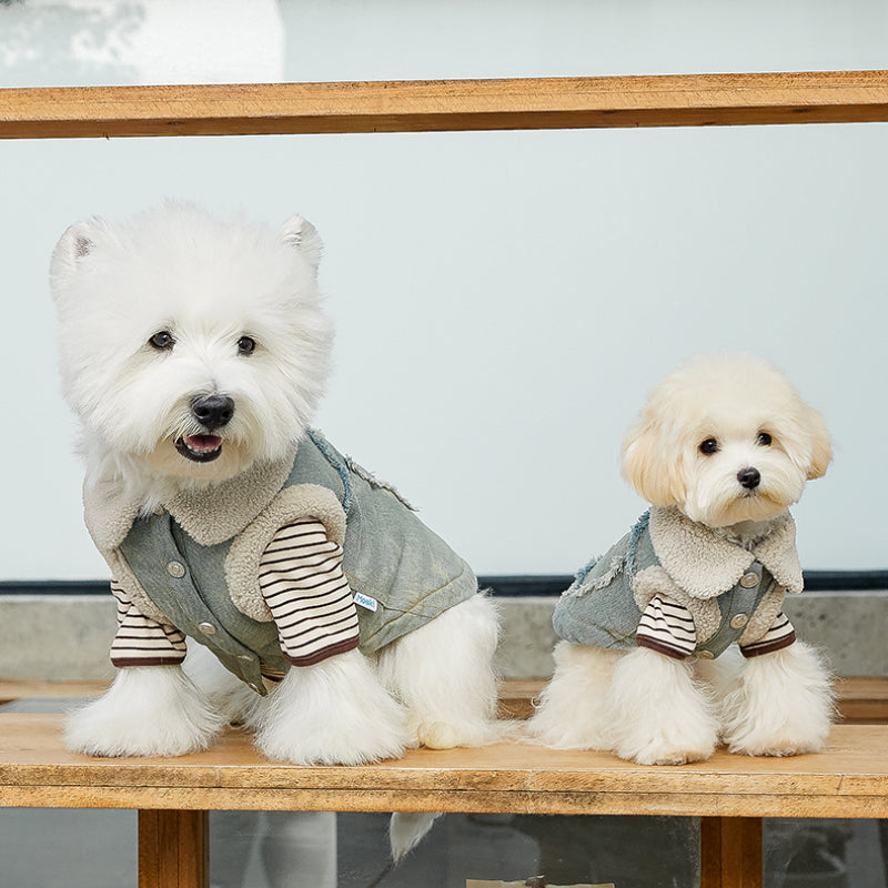 MookiPet® Lamb Wool Denim Vest & Hat for Dogs