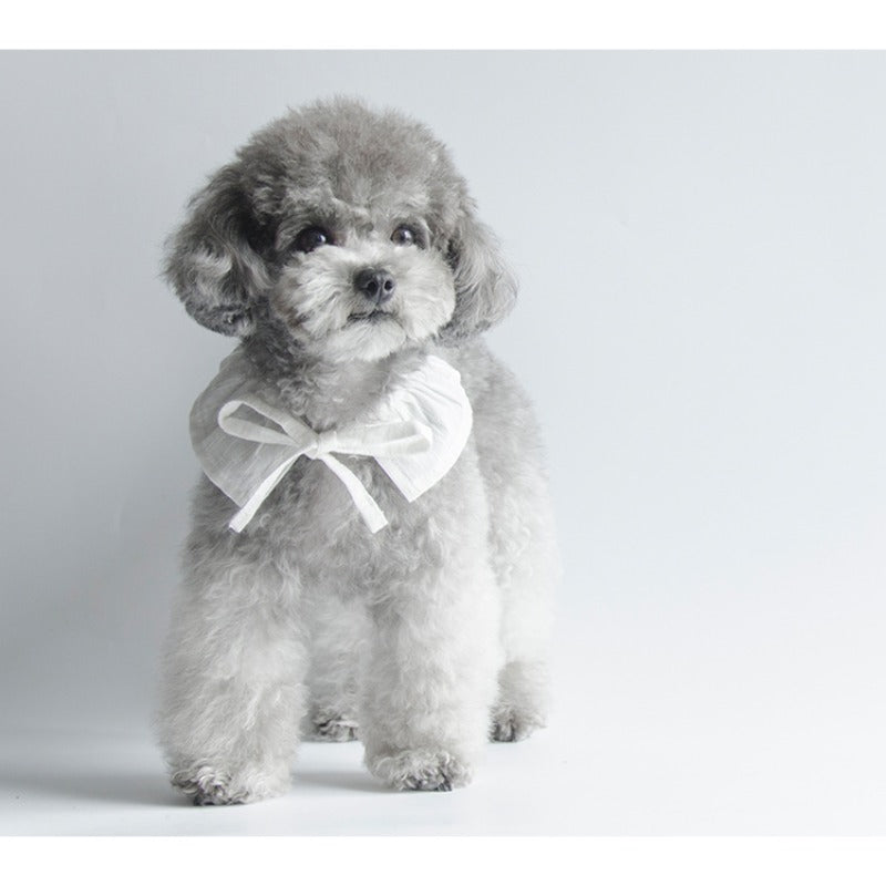 MARSHMALLOW® Ruffled Collar Bib Shirt for Dogs