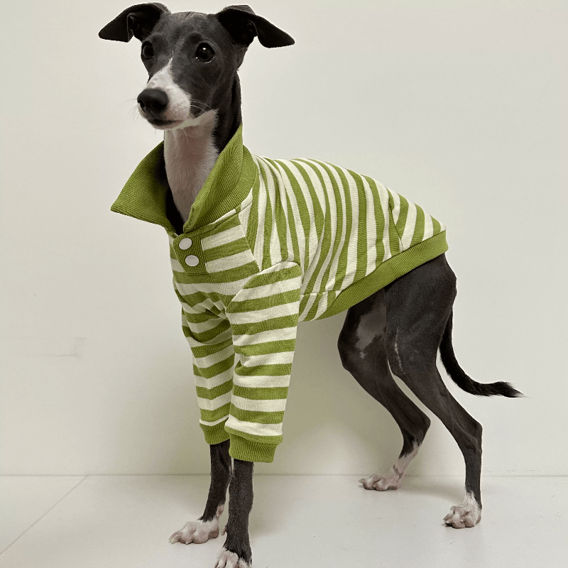 A HUNTING DOG® Blue/White Dog Polo Shirt - KIKOPALS