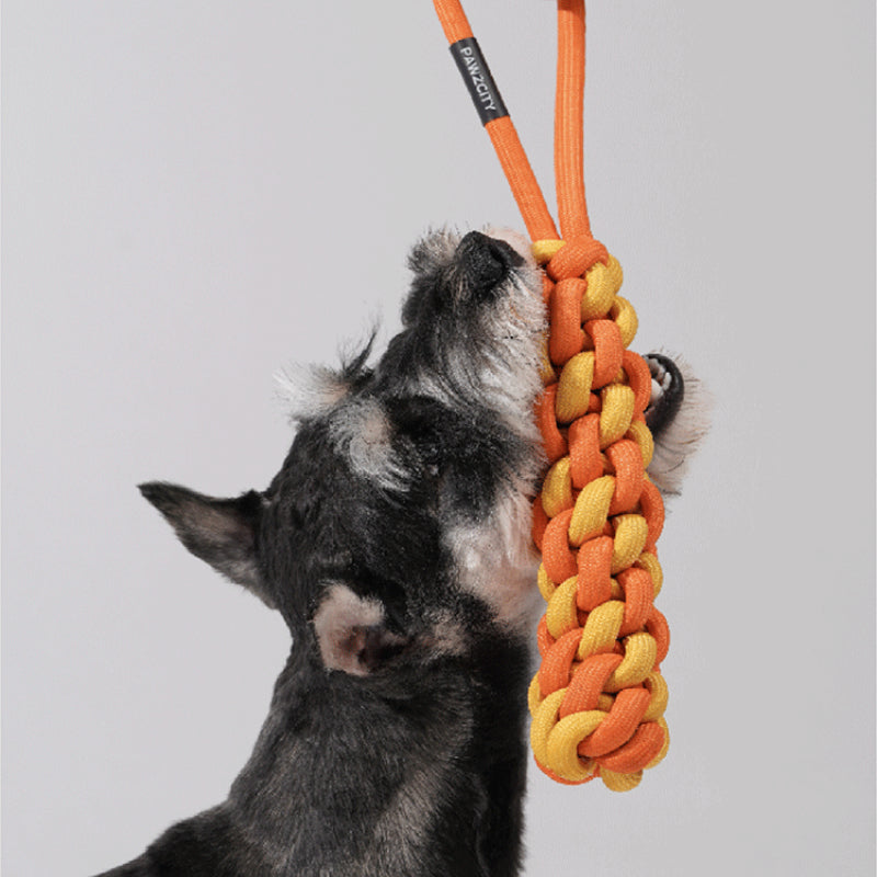 PAWZCITY® Dogs' Urban Neon Knot Toy