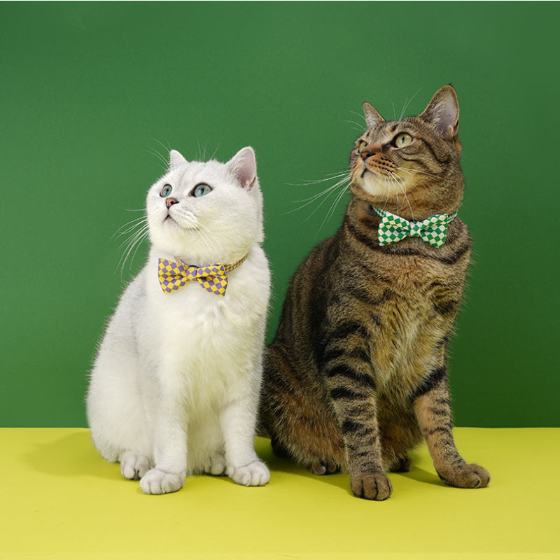 ZEZE® Checked Pet Collar for Cats & Small Dogs