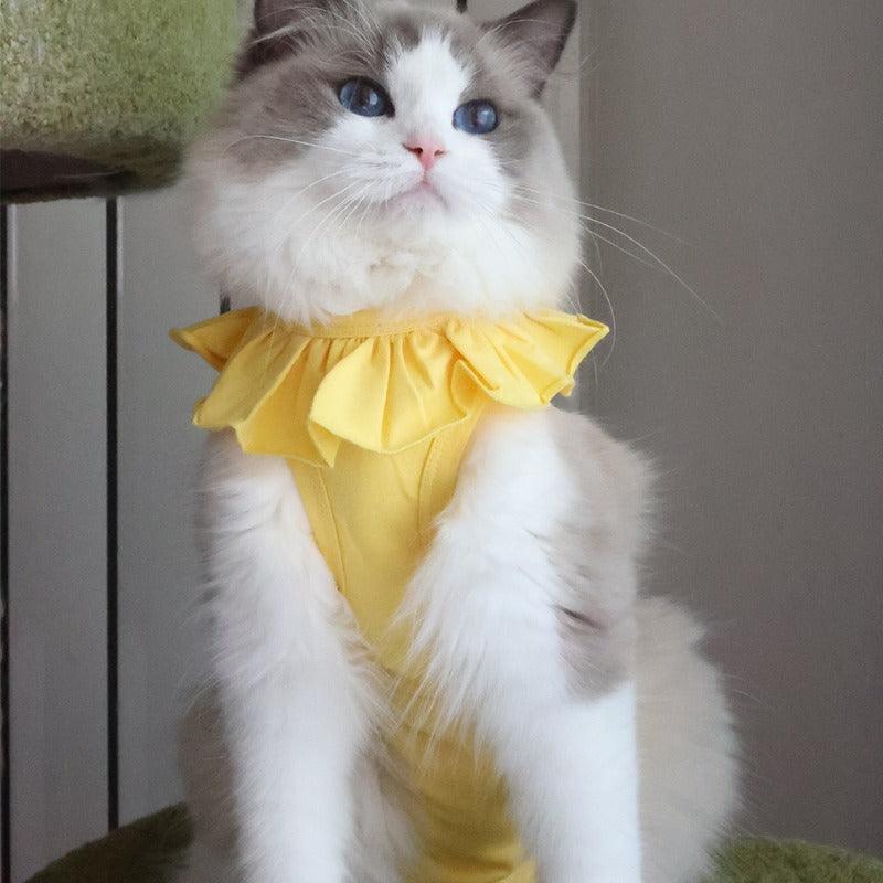 Meoof® Cat Neutering Clothing - KIKOPALS