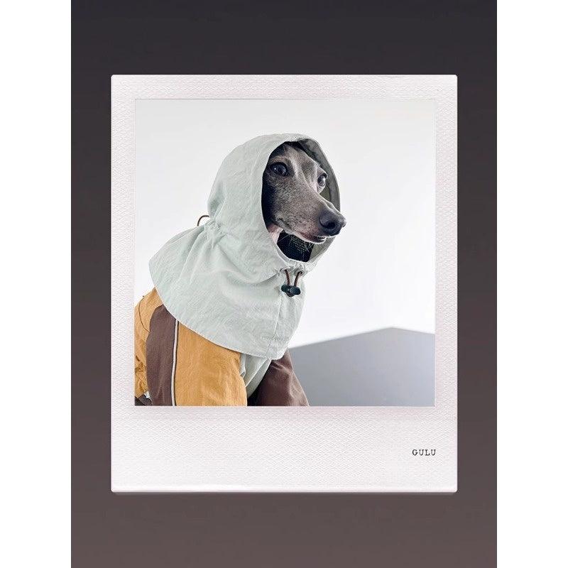 GASU® Waterproof Detachable Dog Rain Hat - KIKOPALS