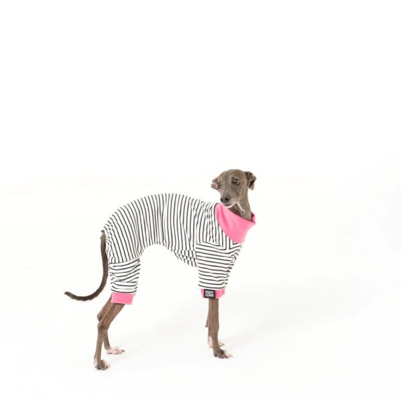 PUFFYCLOUD® Striped Dog Four-Legged Base Layer Sweater - KIKOPALS