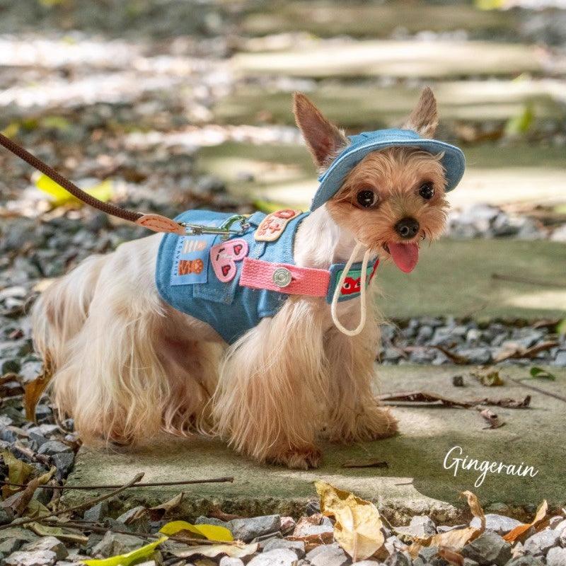 GINGERAIN® Denim Dog Harness Leash & Hat - KIKOPALS