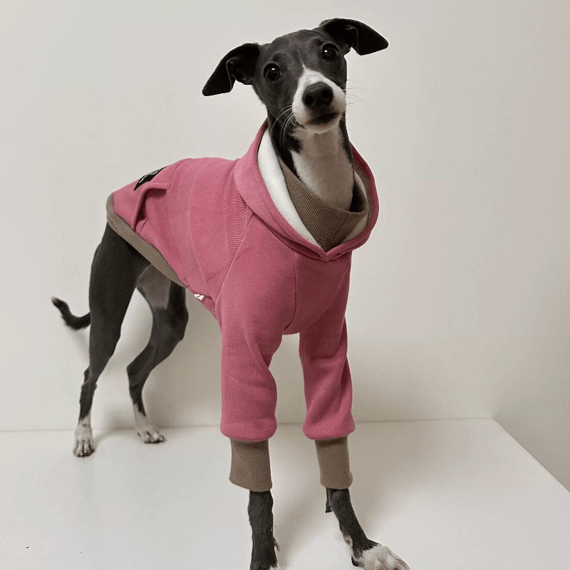 A HUNTING DOG® Dog Faux Collar Hoodie - KIKOPALS