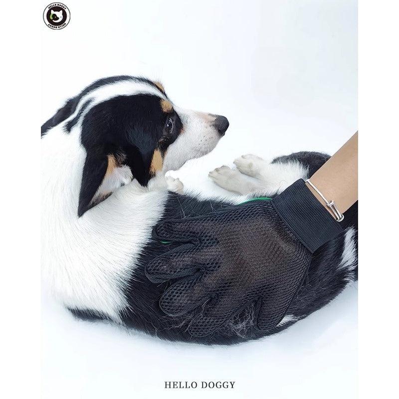 HELLODOGGY® Pet Cleaning Set with Gloves and Brush - KIKOPALS