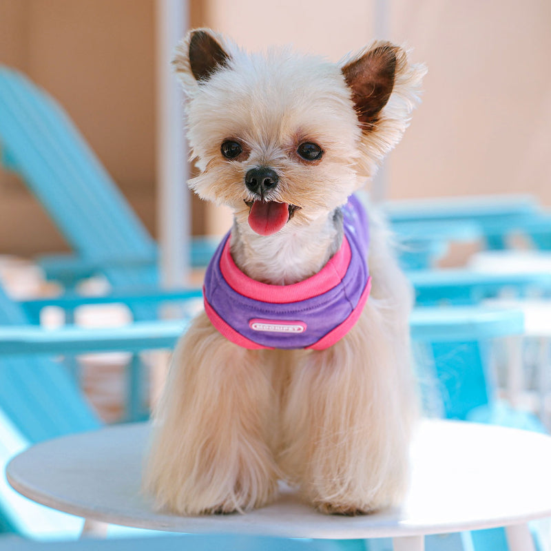 MookiPet® Purple Pet Vest for Dogs