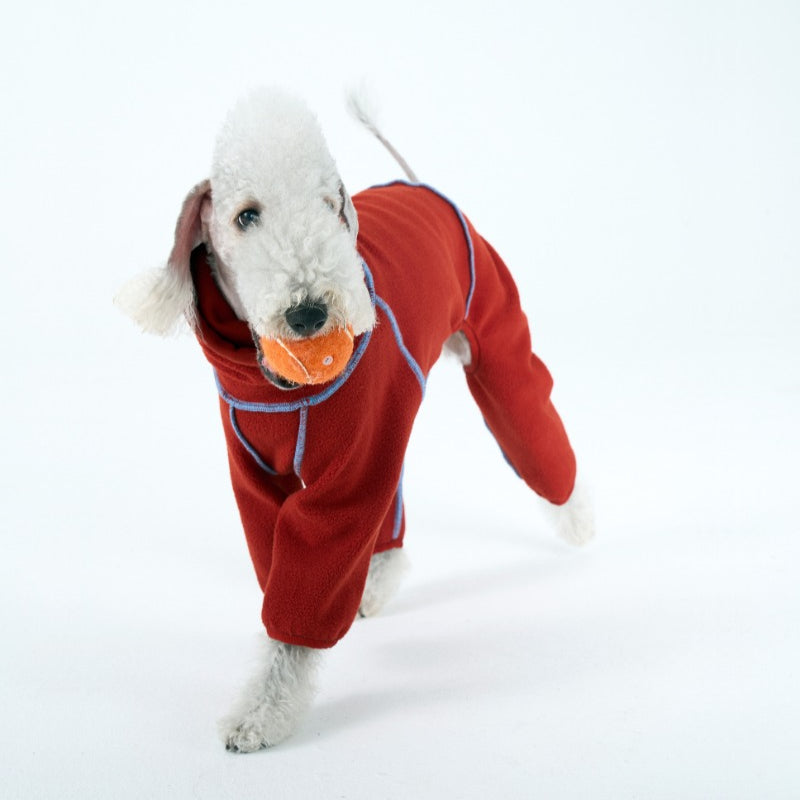 egge® Color-Block Hoodie for Dogs
