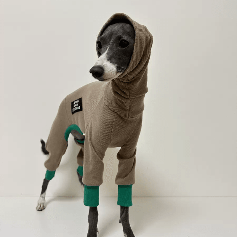 A HUNTING DOG® Cashmere Tripe Suit - KIKOPALS
