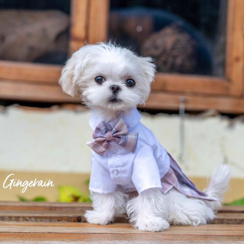 GINGERAIN® Pet Blue JK Dress - KIKOPALS