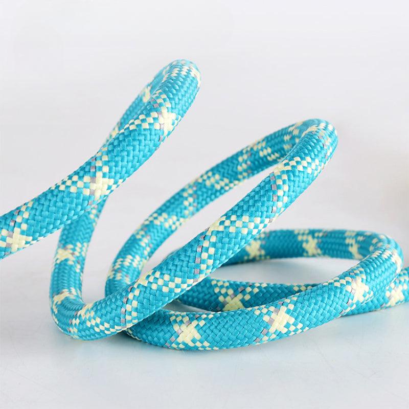 Minly® P-Chain Dog Training Leash - KIKOPALS