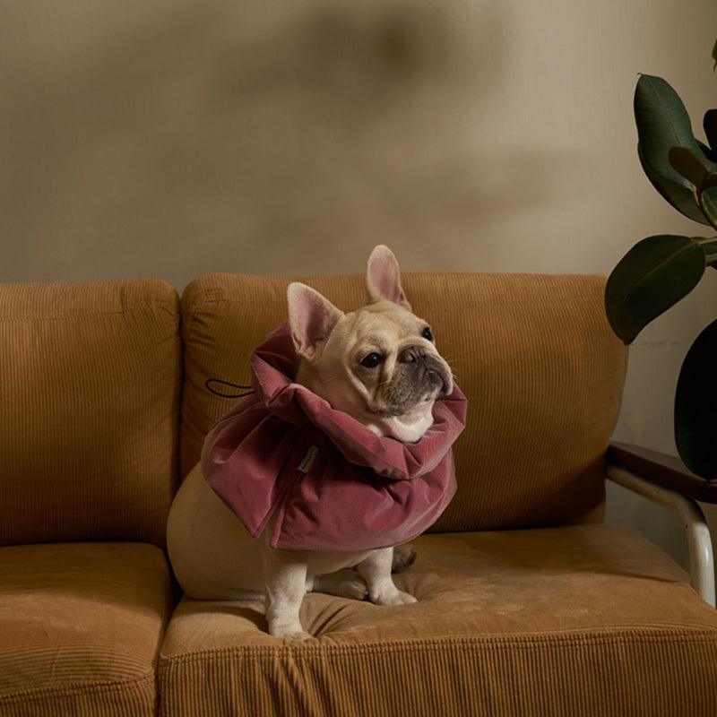 LazyEazy® Soft Pet Elizabeth Collar - KIKOPALS