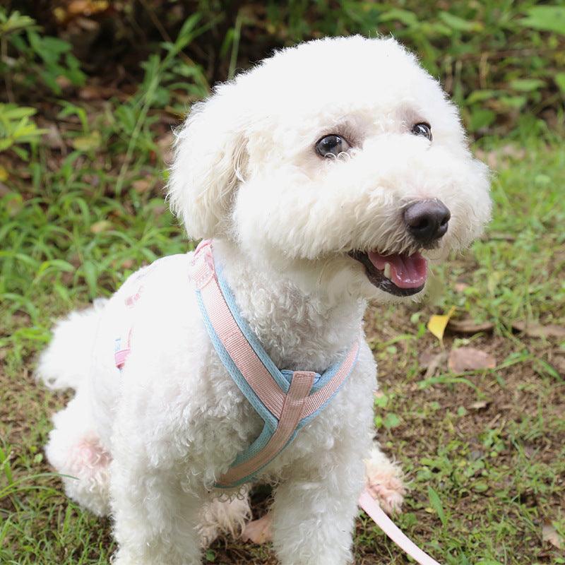 KIKOPALS® Adjustable No-Pull Dog Harness - KIKOPALS