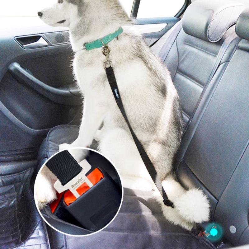 BeauGo® Adjustable Pet Seat Belt - KIKOPALS