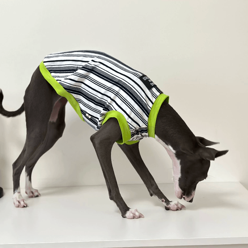 A HUNTING DOG® Dog Striped Vest - KIKOPALS