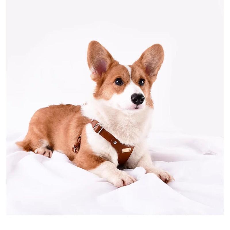 Minly® Leather Dog Harness and Leash Set - KIKOPALS