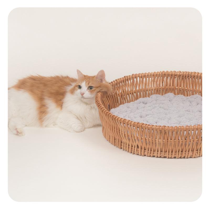 inFluffy® Knitted Plush Pet Cushion - KIKOPALS