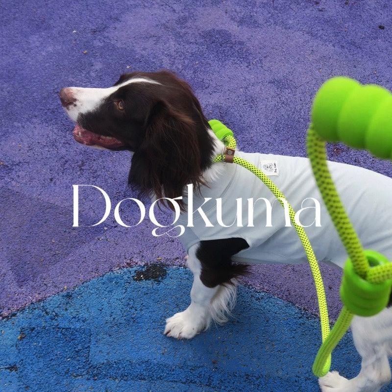 Dogkuma® Dopamine-Color Dog Chain Leash - KIKOPALS