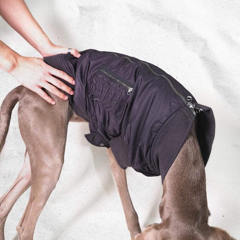 BBPRODUCTION® Pilot Dog Jacket - KIKOPALS