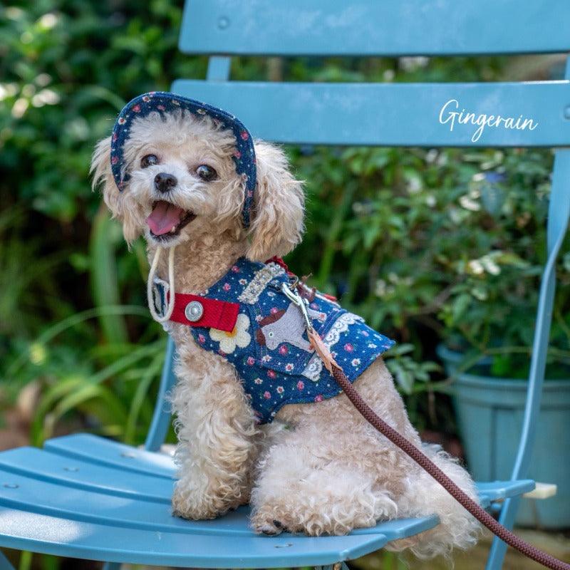 GINGERAIN® Outdoor Denim Dog Harness Leash & Hat Kit - KIKOPALS