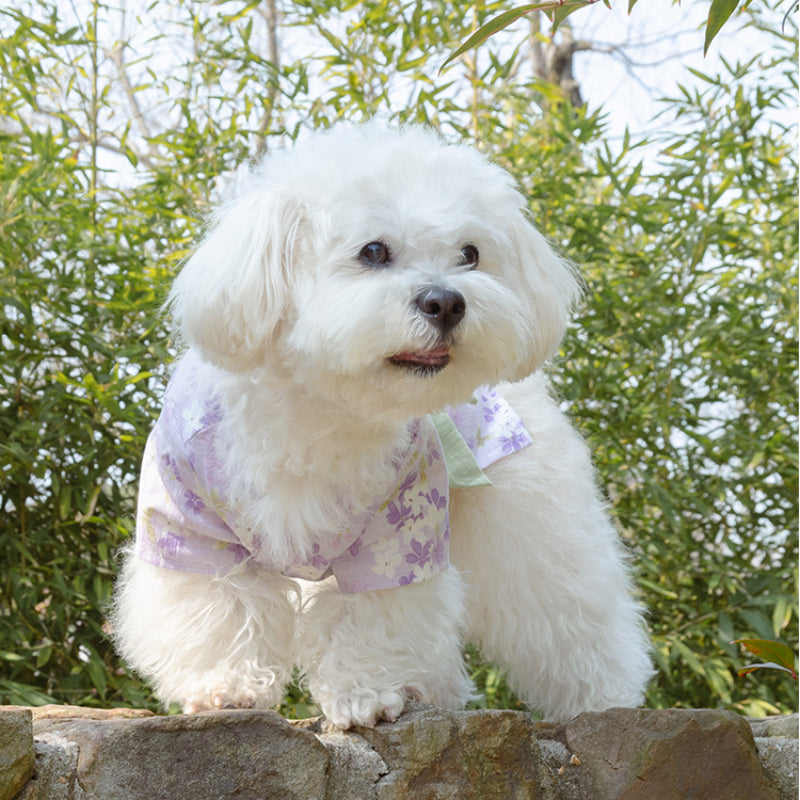 MARSHMALLOW® Japanese Kimono for Dogs